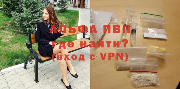 дмт Гусев