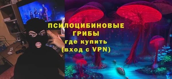 дмт Гусев