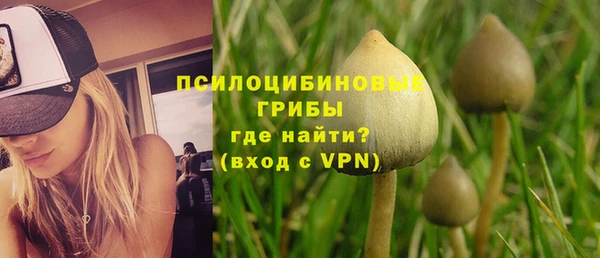 метадон Гусь-Хрустальный