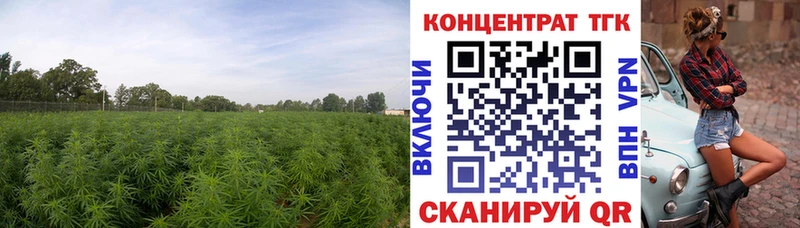 цена   Бодайбо  ТГК вейп 