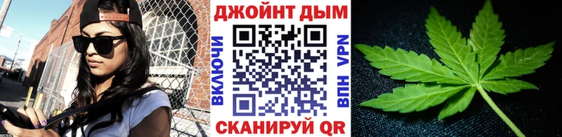Каннабис сатива  Бодайбо 